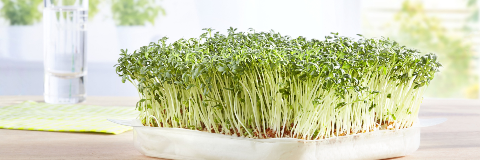 Grünländer Grüne Tipps