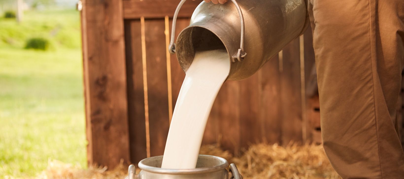 Milchkanne