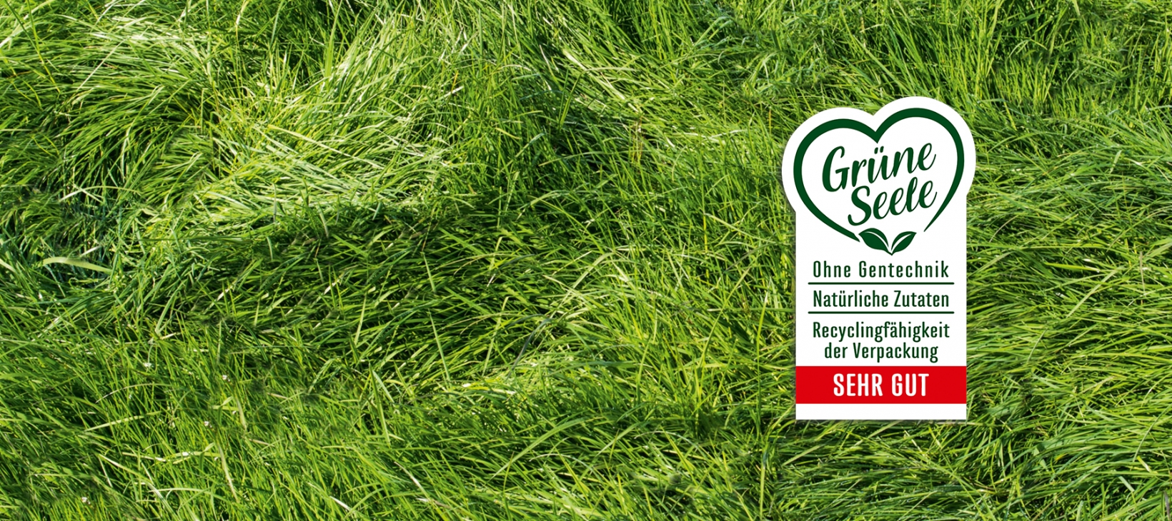 Grüne_Seele_gross21