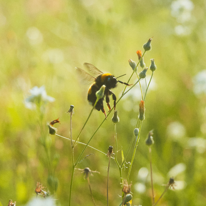 Nachhaltigkeitsbericht